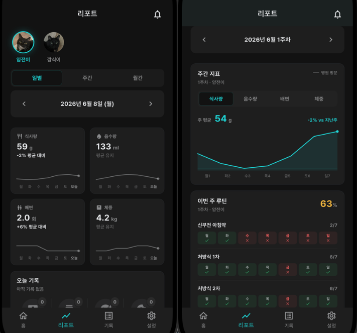 Catnalytics app prototype report screens